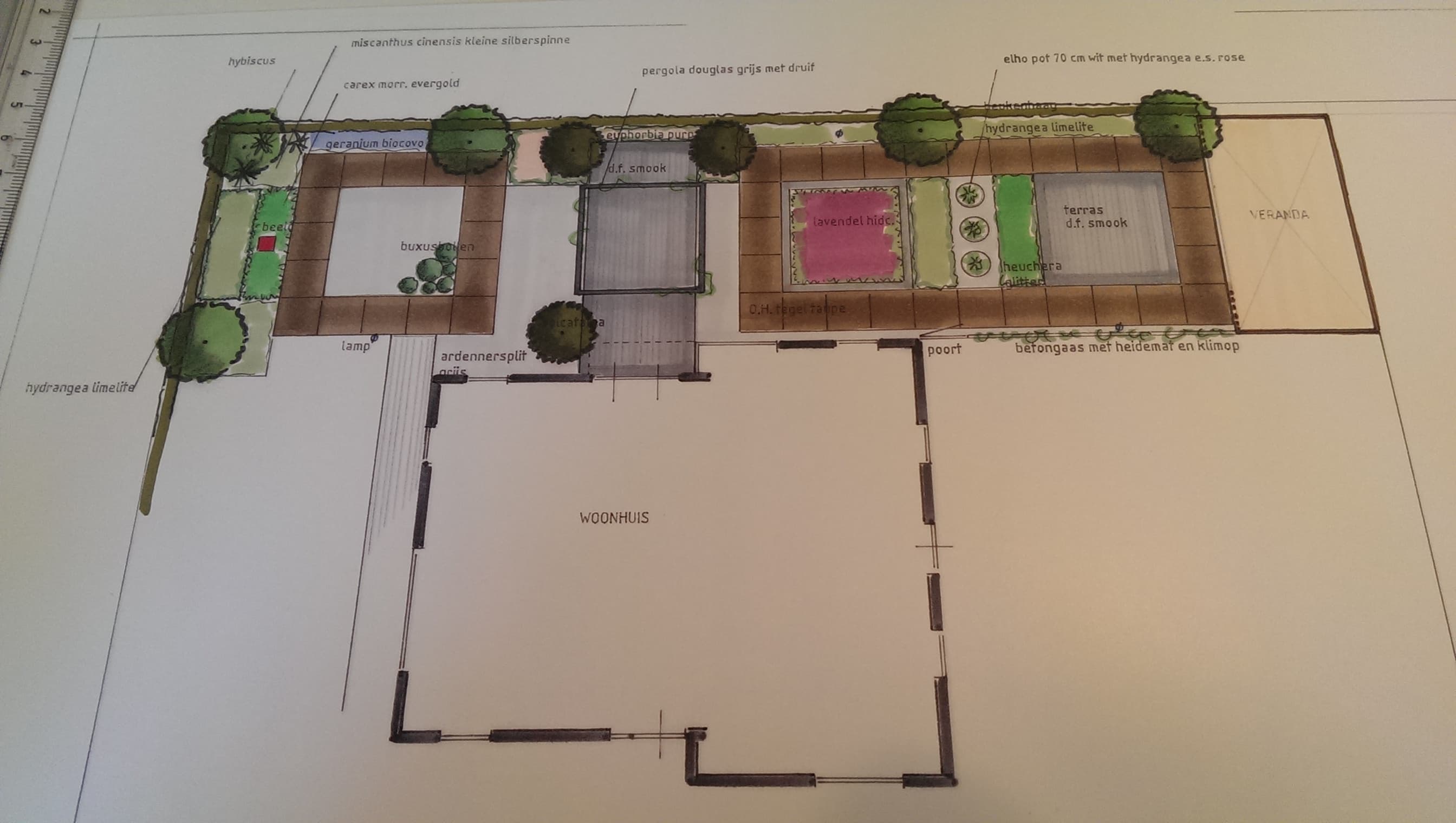 Ingekleurd tuinontwerp met terras, borders en beplantingsplan