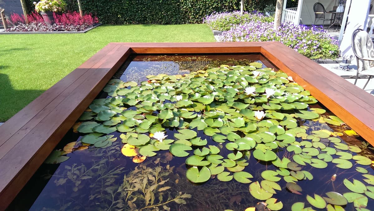 Aangelegde vijver met waterlelies en een houten rand