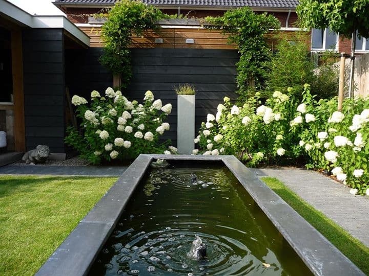 Designtuin met een smalle waterloop en witte hortensia's